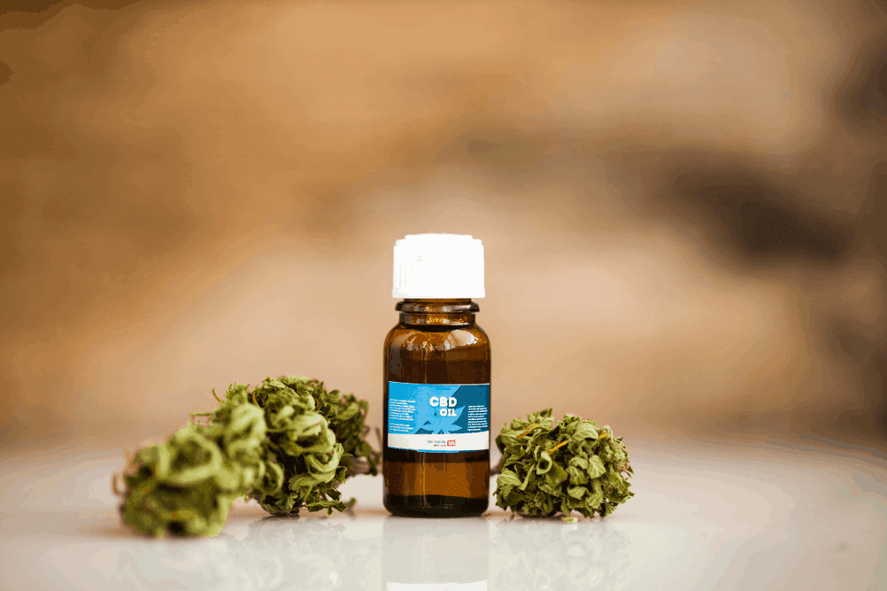cbd leaves in best cbd oil for anxiety