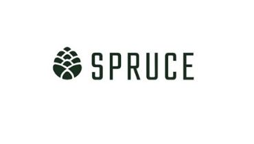 Spruce CBD Review